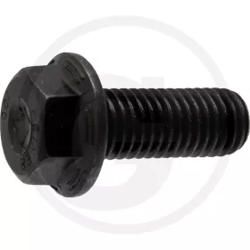 AS-Motor Késrögzítő csavar
