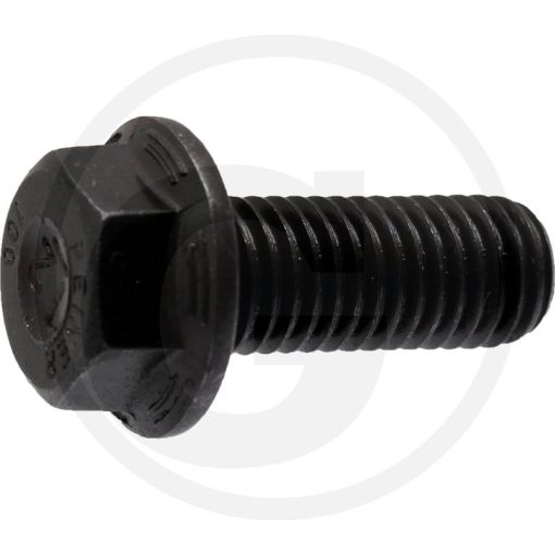 AS-Motor Késrögzítő csavar