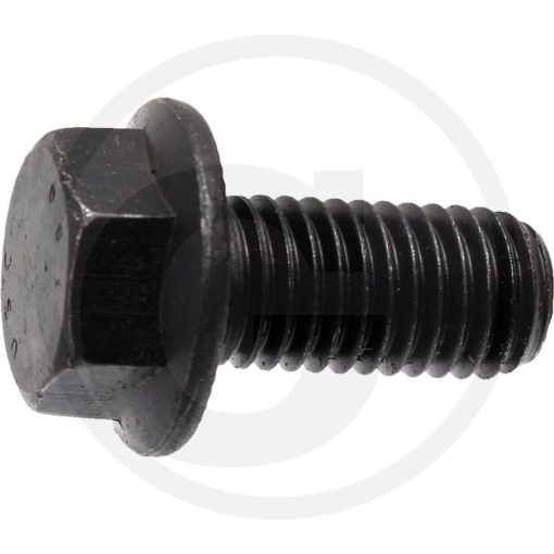 AS-Motor Késrögzítő csavar