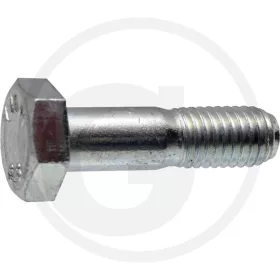 AS-Motor Késrögzítő csavar