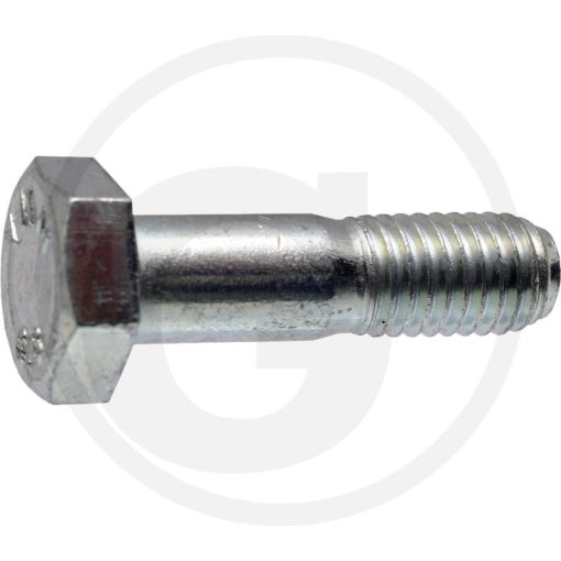 AS-Motor Késrögzítő csavar