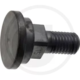 AS-Motor Késrögzítő csavar