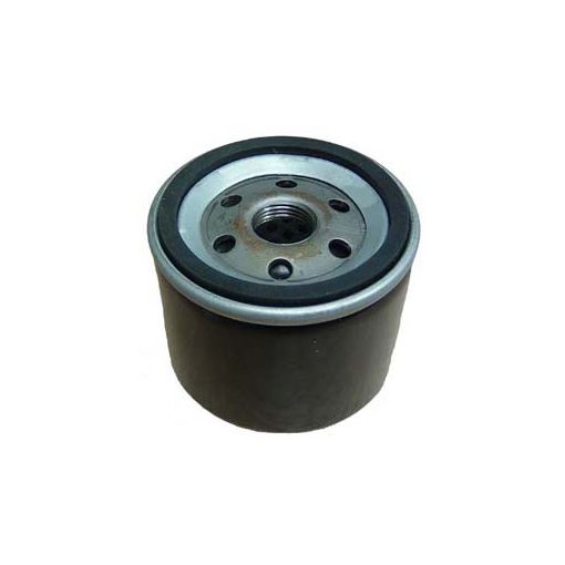 OLAJSZŰRŐ BRIGGS&STRATTON FŰNYÍRÓ TRAKTORHOZ EVEREST