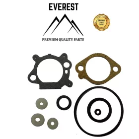 TÖMÍTÉS KOMPLETT BRIGGS&STRATTON QUANTUM EVEREST