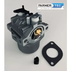   KARBURÁTOR BRIGGS&STRATTON 495706, 498027, 498231, 499161, 799728