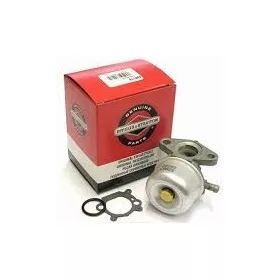 KARBURÁTOR BRIGGS&STRATTON PULSA PRIMA SERIA 600 QUANTUM
