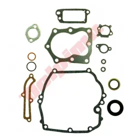 TÖMÍTÉS KÉSZLET B&S 14 QUANTUM 493263 496117 497316