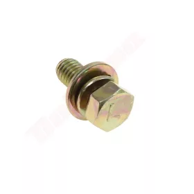 SZÖGHAJTÁS CSAVAR BALOS 8X1,25 22MM MARUYAMA 215610