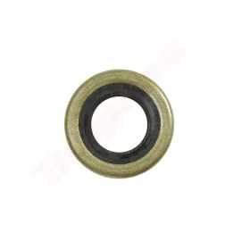 SZIMERING 15X27X5,5 ALPINA 312112