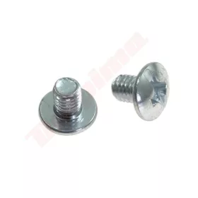 KARBURÁTORHOZ CSAVAR WALBRO WT M3X0,5X4,5MM 96-156
