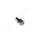 KARBURÁTORHOZ CSAVAR M3X0,5X6MM
