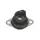 KARBURÁTOR SZÍVÓTOROK ECHO CS 550 CS 650 CS 660 130508-12331