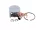 S-572499-CB-U